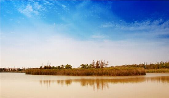 3377体育-声音乐团再度起《飞》 致敬梦想未忘初心