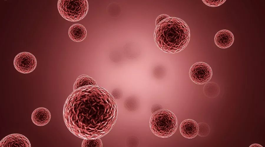 “3377app”敲响“官告民”法槌，只为“控辍保学”一个都不能少(图2)