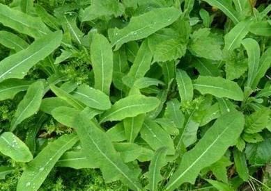 徐佳莹“心里学”新专辑巡演广州站 直播互动开启新玩法|3377官网(图3)