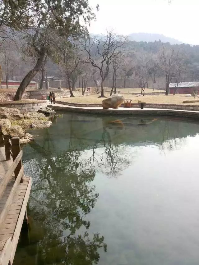 徐佳莹“心里学”新专辑巡演广州站 直播互动开启新玩法|337