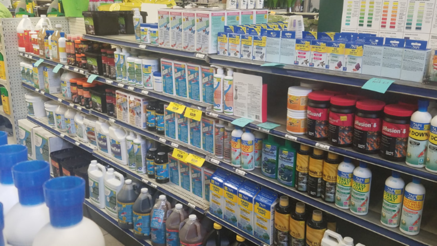 lol4.6周免英雄查询 英雄联盟4月6日免费英雄更换公告【3377app】(图2)