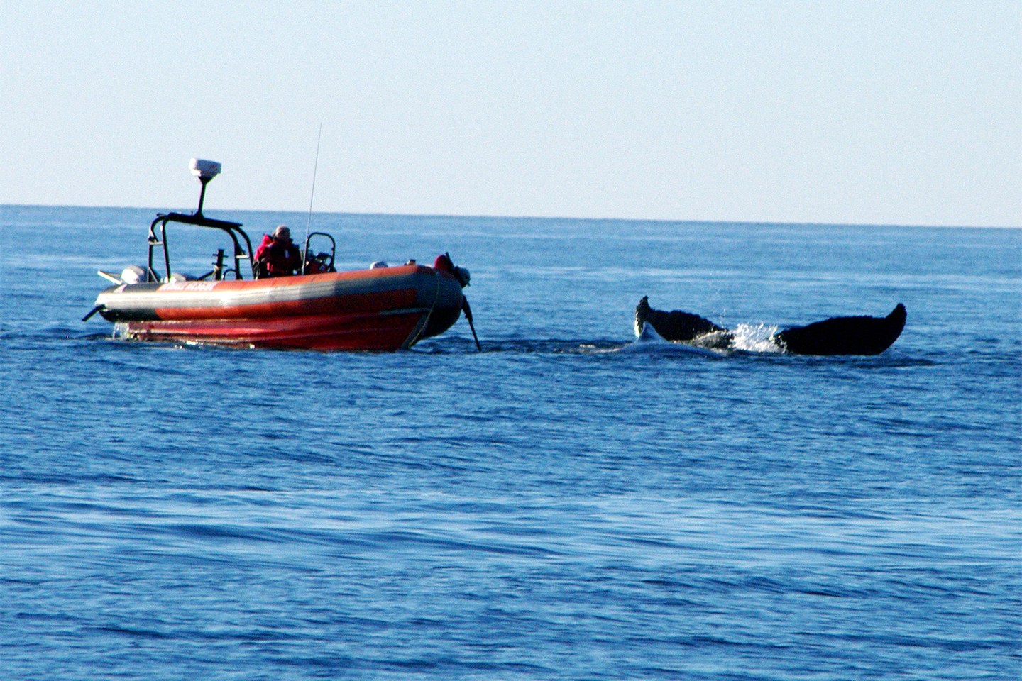 3377体育_花山瑶族乡召开2017年村“两委”换届工作培训