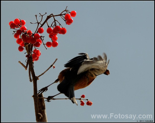 《鬼泣5》E3预告片播放量超300万 Capcom官方发推感