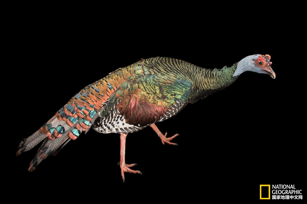 【3377官网】迈克学摇滚成军三十年魅力依旧 推出新专辑《S