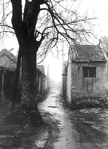 自治区纪委副书记雷永达到钟山县调研“3377体育”(图3)