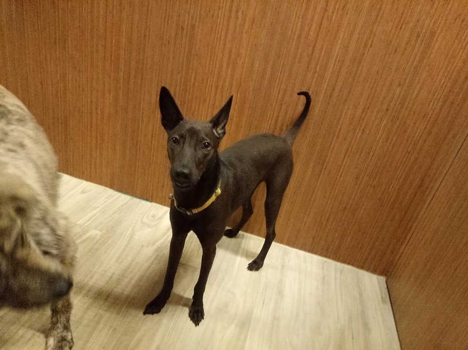 3377app|钟山镇开展“新时代 新气象 新作为”百姓宣讲活动(图4)