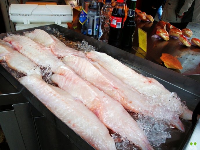 3377官网：实力歌手百灵唱响《星光大道》